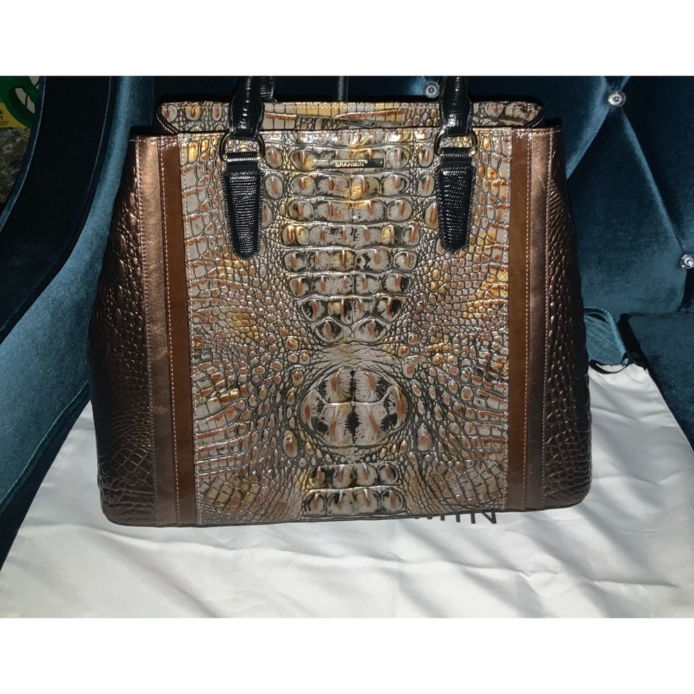 Brahmin Joan 'Fall Tortoise Cosimo